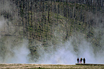 Yellowstone thermal vents.